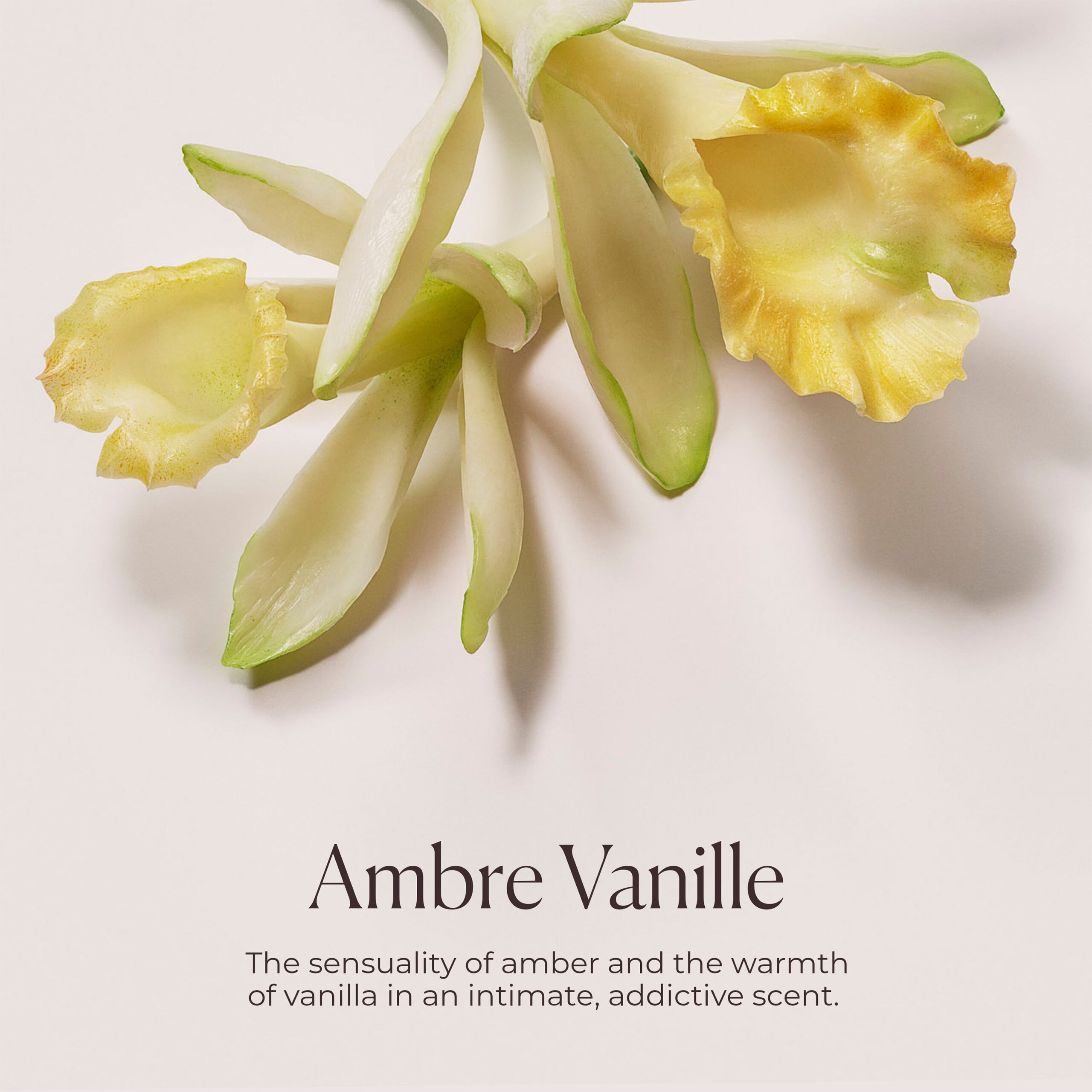 Ambre Vanille Honey Bath - Image 8