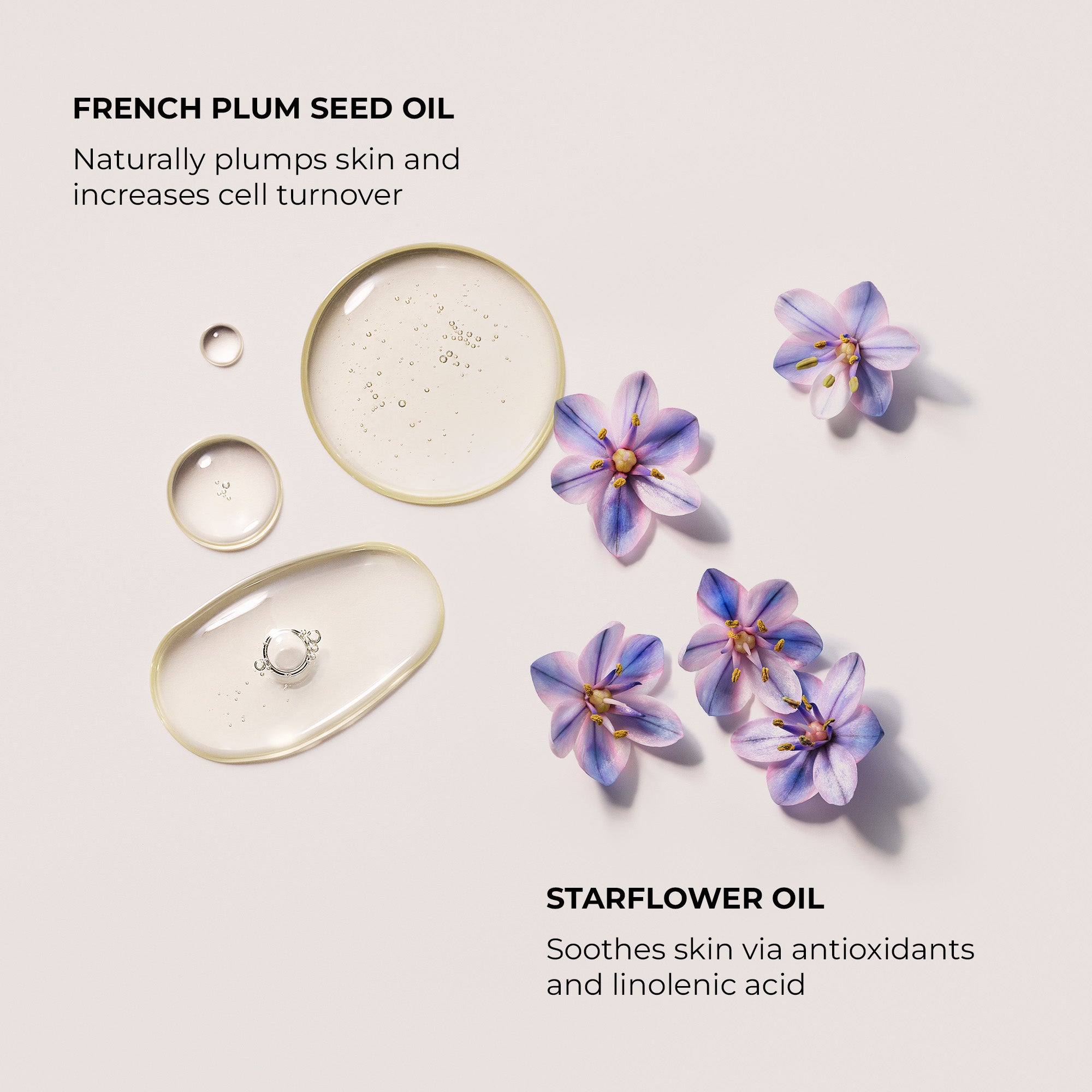 Ambre Vanille Aromatic Bath & Body Oil - Image 3