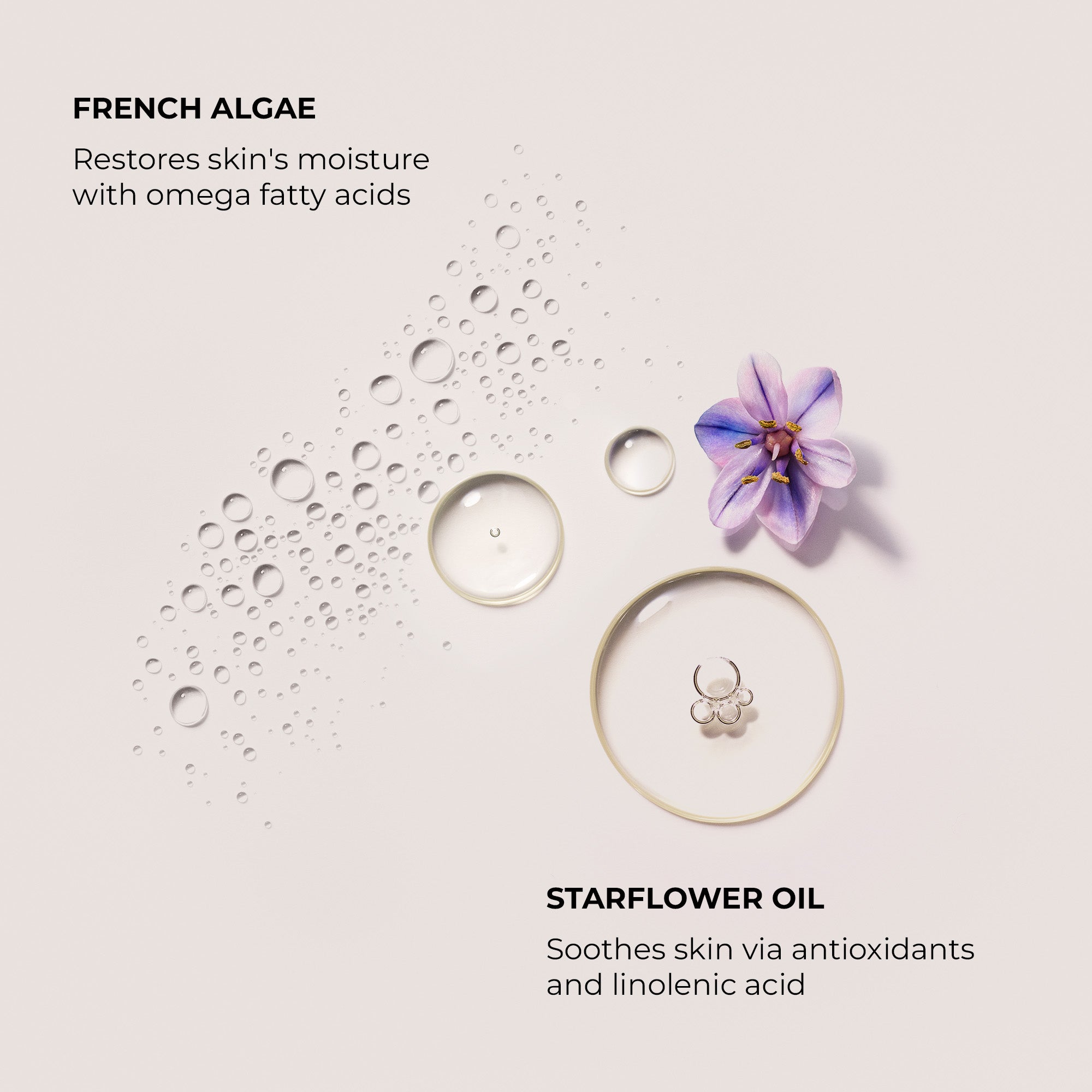 Néroli du Sud Serum Body Cream - Image 3