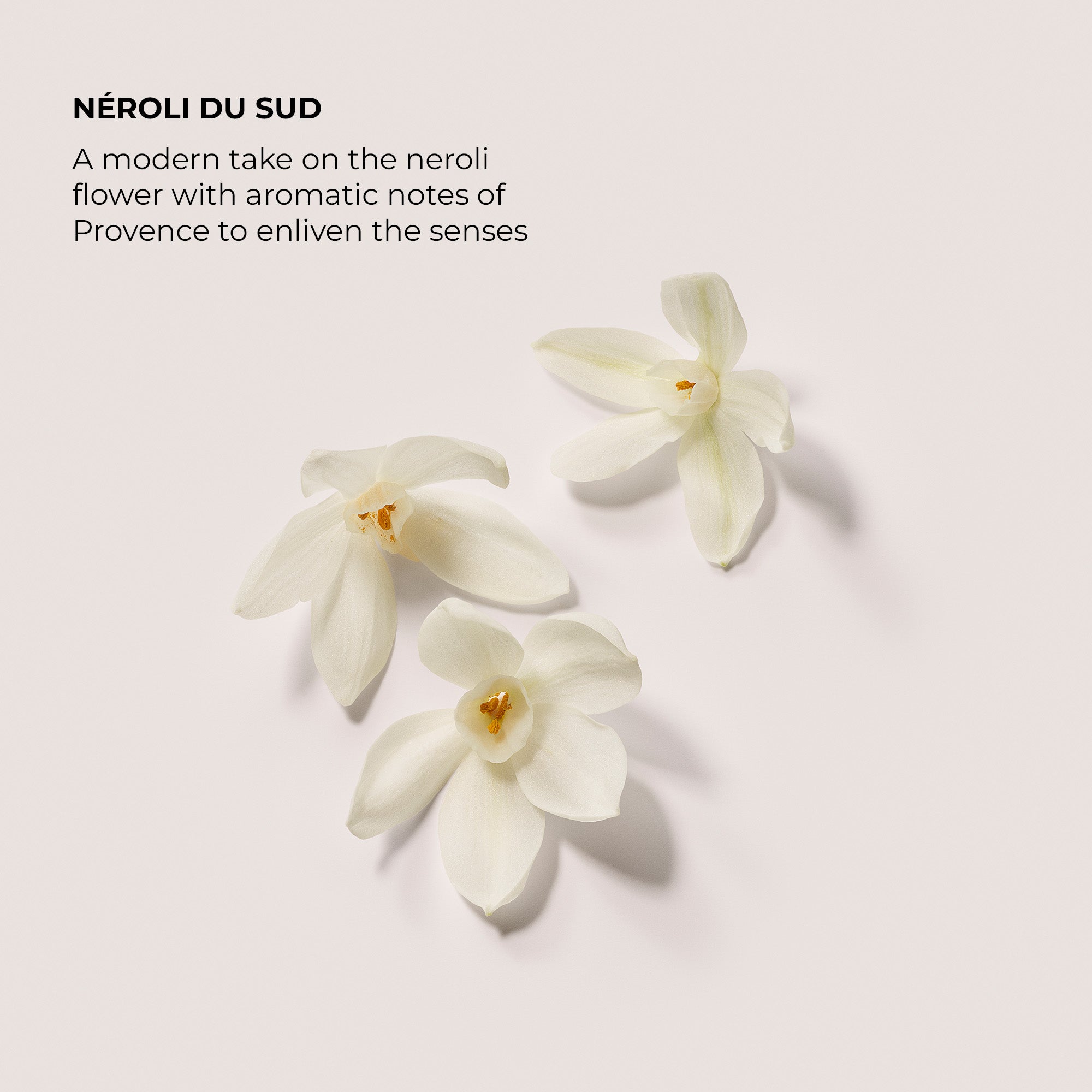 Néroli du Sud Serum Body Cream - Image 4