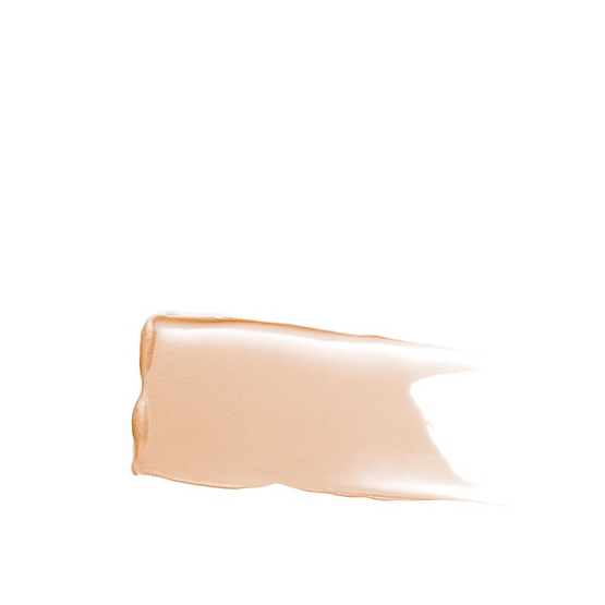 Eye Basics Primer - Image 8