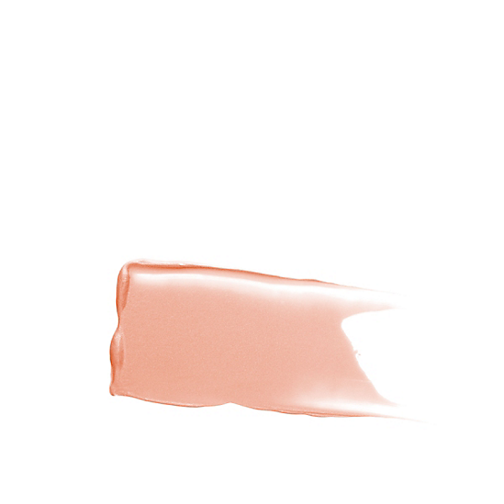 Eye Basics Primer - Image 10
